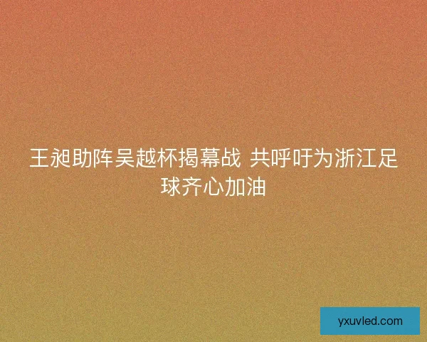 王昶助阵吴越杯揭幕战 共呼吁为浙江足球齐心加油
